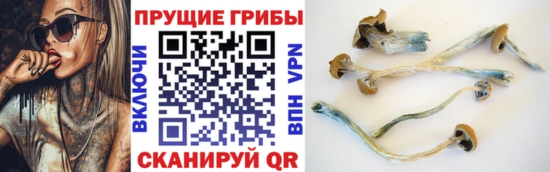Псилоцибиновые грибы прущие грибы  Кимовск 