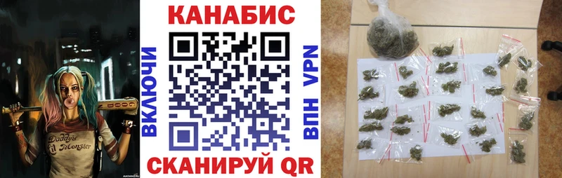 Марихуана сатива Кимовск